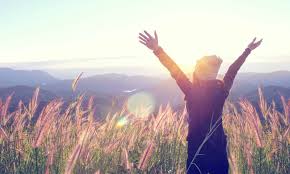 Why online booking is now a must